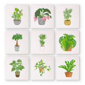 Plantas verdes – Pintar por números