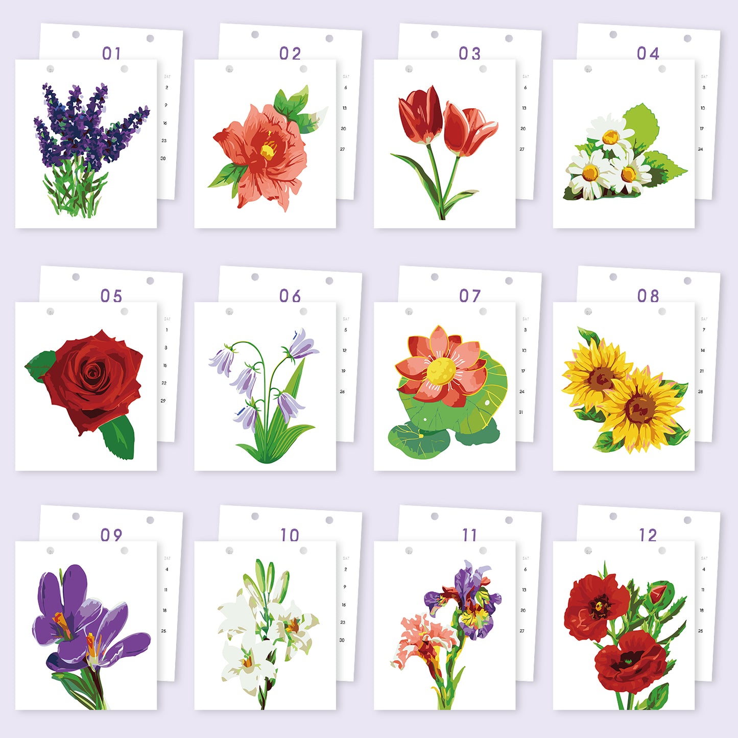 Blumen-Edition – 2027 Malen nach Zahlen Tischkalender
