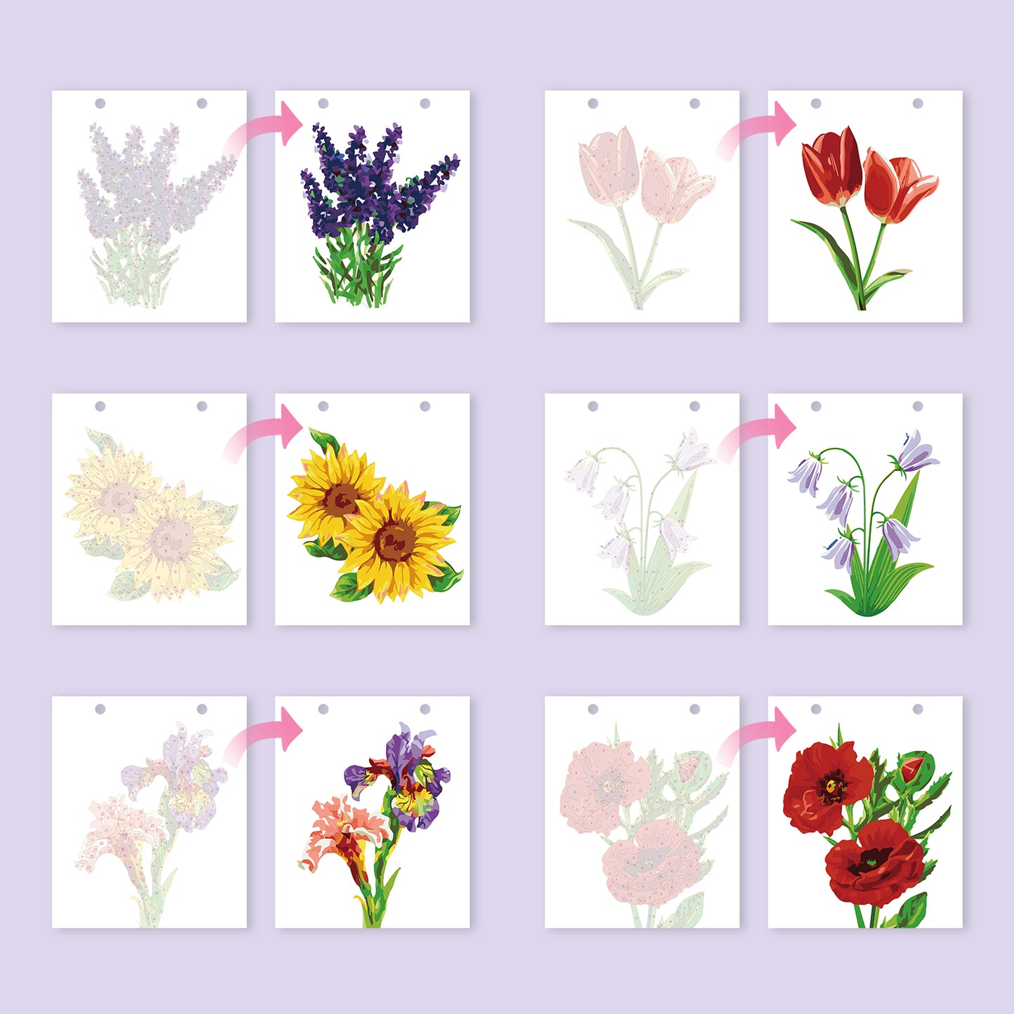 Blumen-Edition – 2027 Malen nach Zahlen Tischkalender