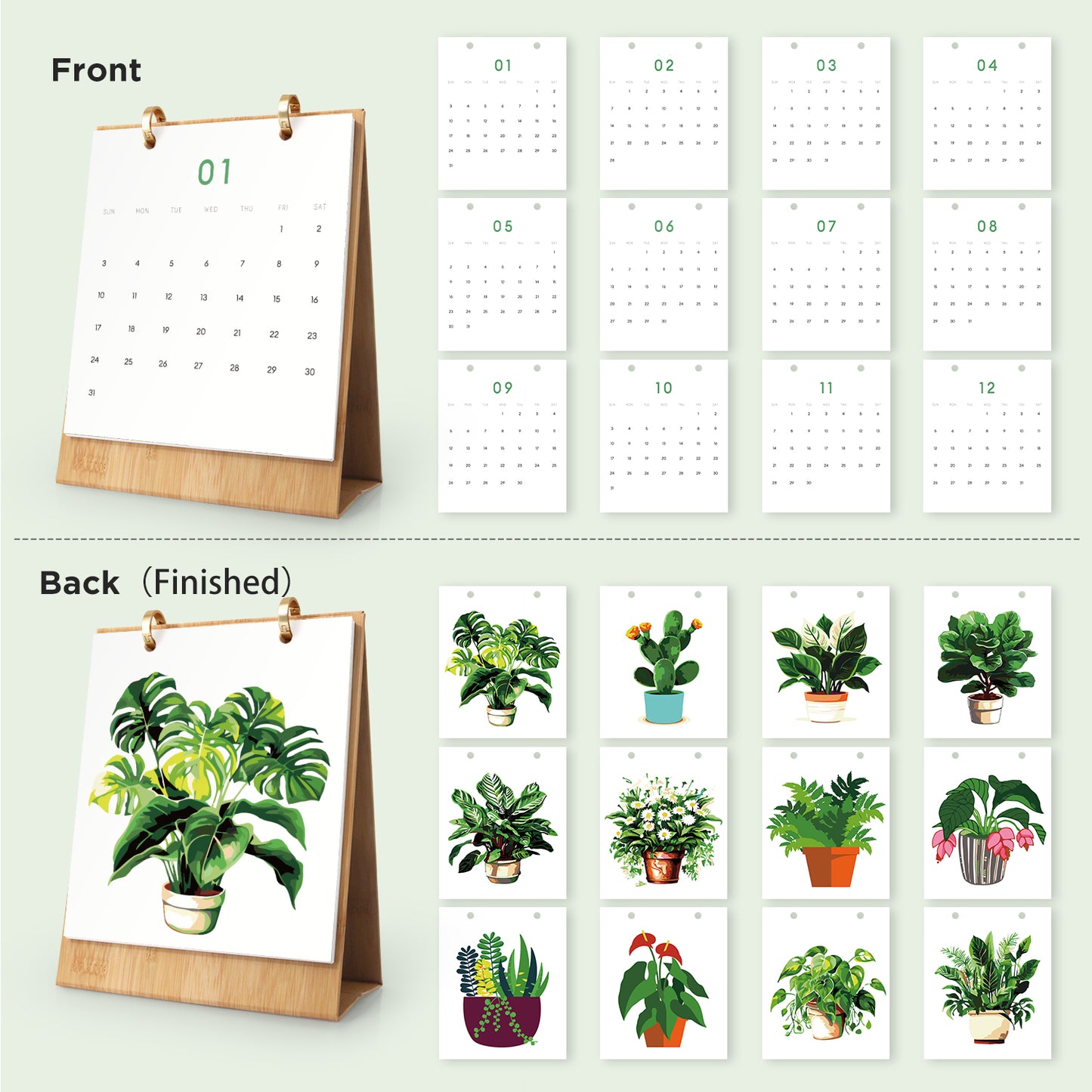 Pflanzen-Edition – 2027 Malen nach Zahlen Tischkalender