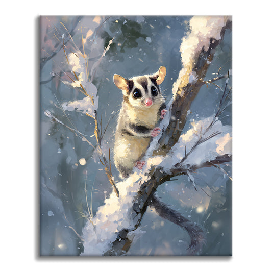 Der Gleithörnchenbeutler – Malen nach Zahlen