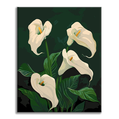 Blühende weiße Calla-Lilien – Malen nach Zahlen