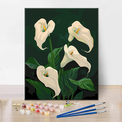 Blühende weiße Calla-Lilien – Malen nach Zahlen