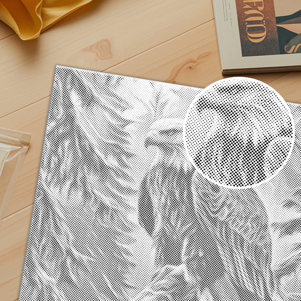 Majestätischer Weißkopfseeadler - Punktmalerei Set